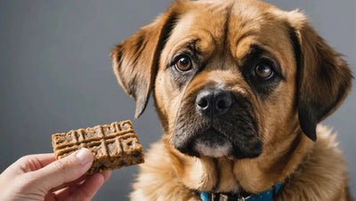 Treat Your Dog to Soft and Chewy Treats They'll Love - Talis Us