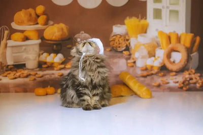 Unbeatable Pet Food Deals: Save Big on Quality Nutrition - Talis Us