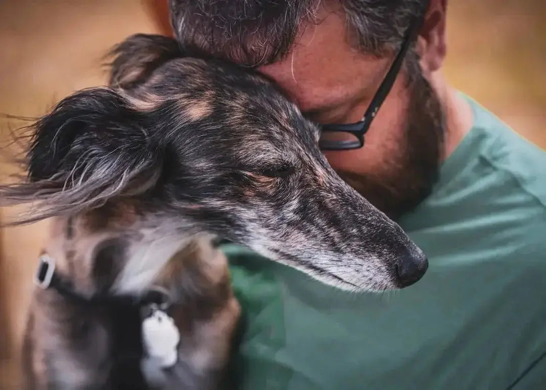 Understanding the Bond Between Pet People