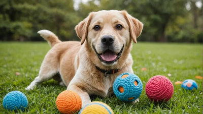 Unleash the Fun with a Diverse Selection of Dog Toys - Talis Us