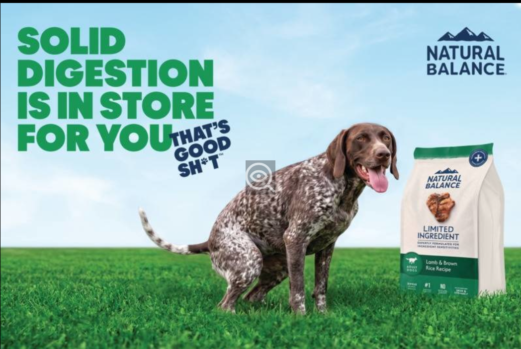 Affordable natural pet food options for large orders