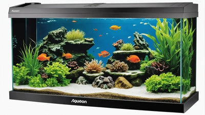 Upgrade Your Aquarium with the Aqueon Deluxe LED Full Hood 30 - Talis Us