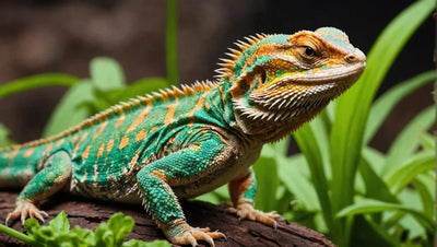 Vegetables for Bearded Dragons: A Nutritious Choice - Talis Us