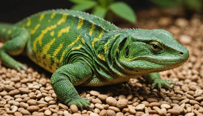 Weight Maintenance Reptile Food: Keep Your Pet in Shape - Talis Us