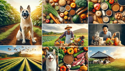 Why Open Farm Pet Food is the Sustainable Choice for Your Pet - Talis Us