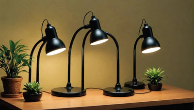 Zoo Med Dual Lamp: Illuminate Your Space Efficiently! - Talis Us