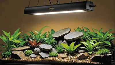 Zoo Med UVB Light: Essential for Reptile Health - Talis Us