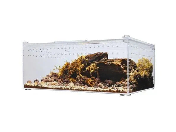 Acrylic Terrarium - Talis Us