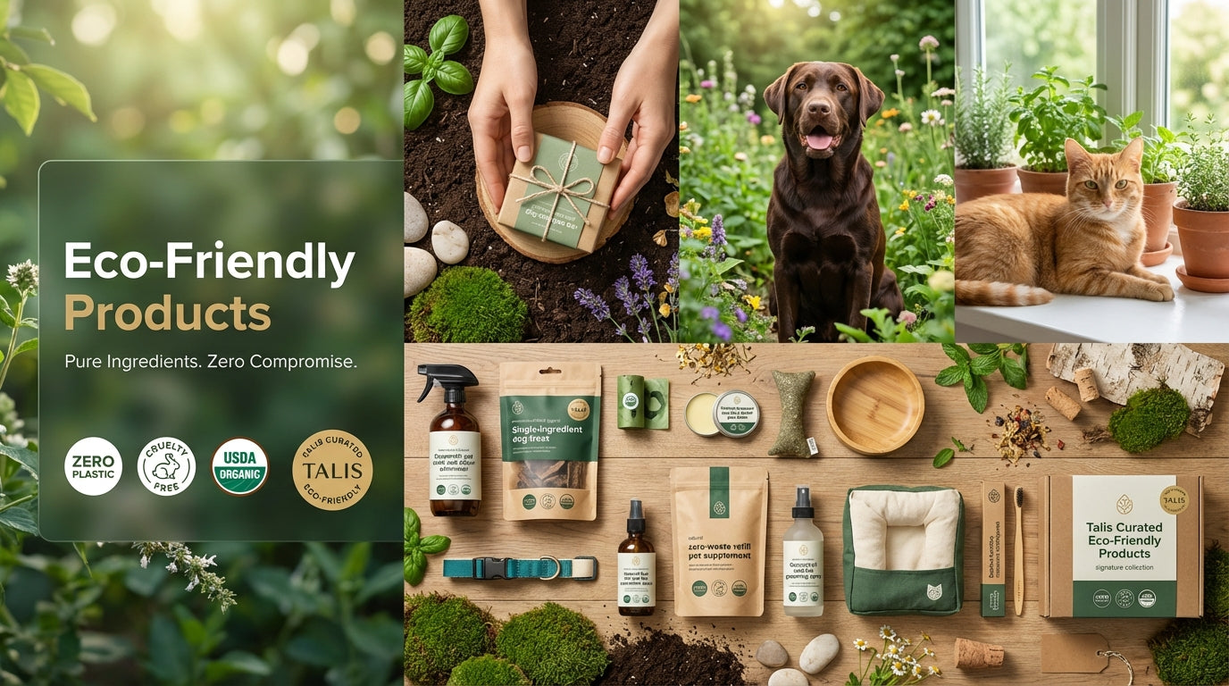 Eco-Friendly Products