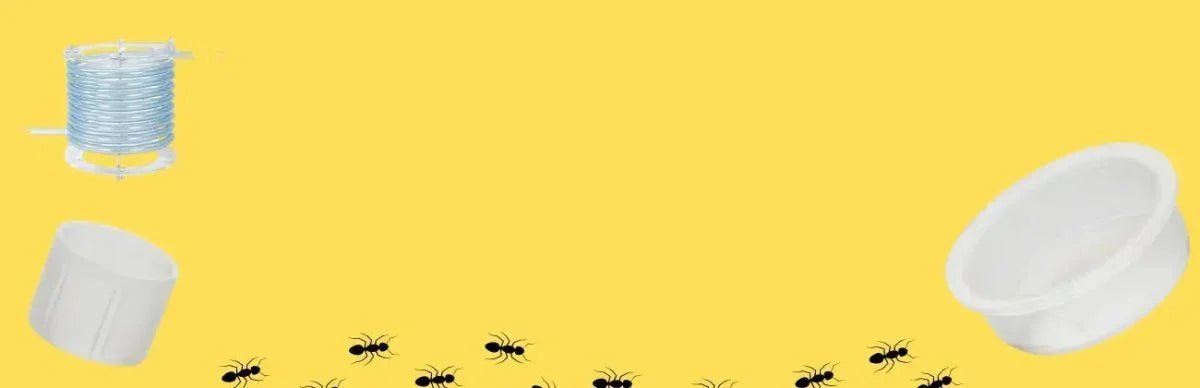 Ant Accessories - Talis Us