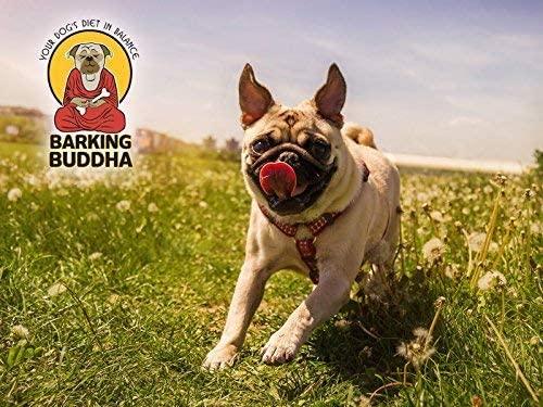 Barking Buddha