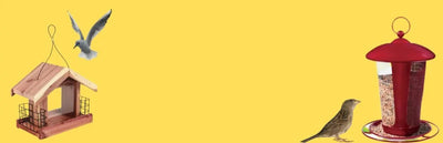 Bird Feeders & Waterers - Talis Us