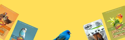 Bird Food - Talis Us