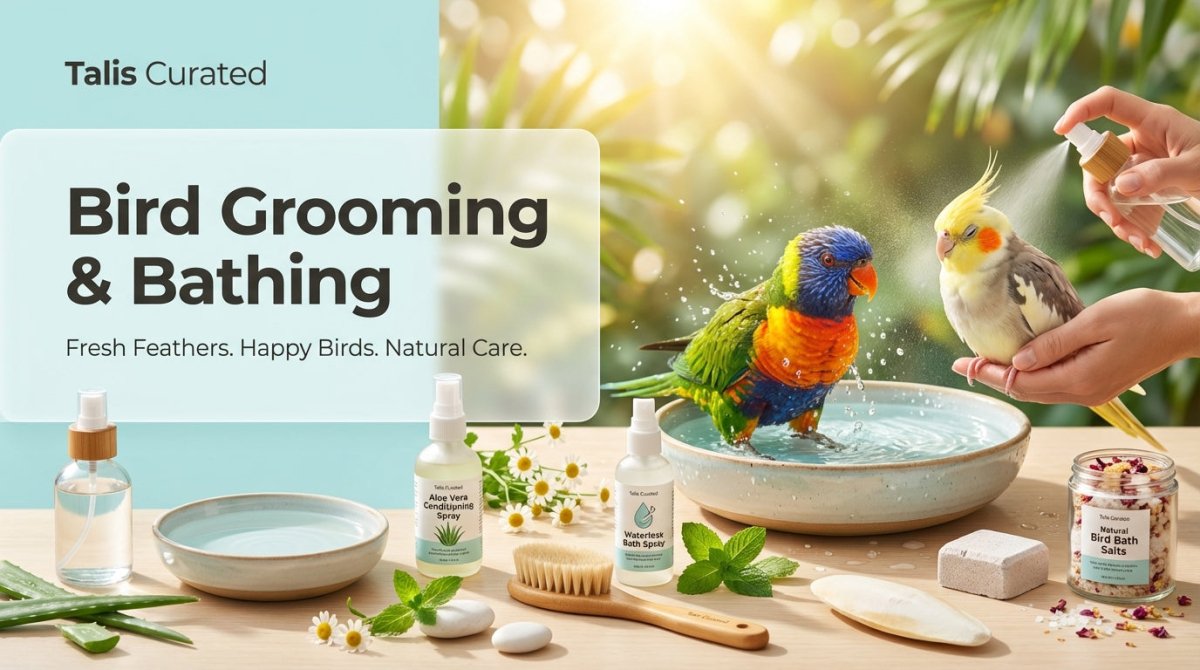 Bird Grooming & Bathing