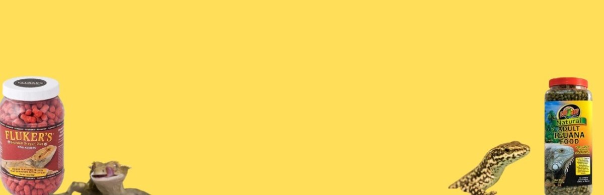 Buy Reptile Food Online: Premium Selection - Talis Us