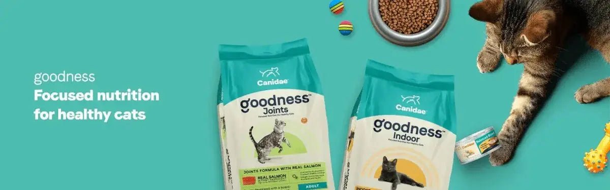 Canidae cat food