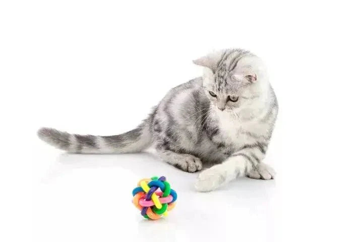 Cat Balls Toys - Talis Us