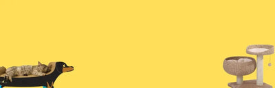 Cat Furniture - Talis Us