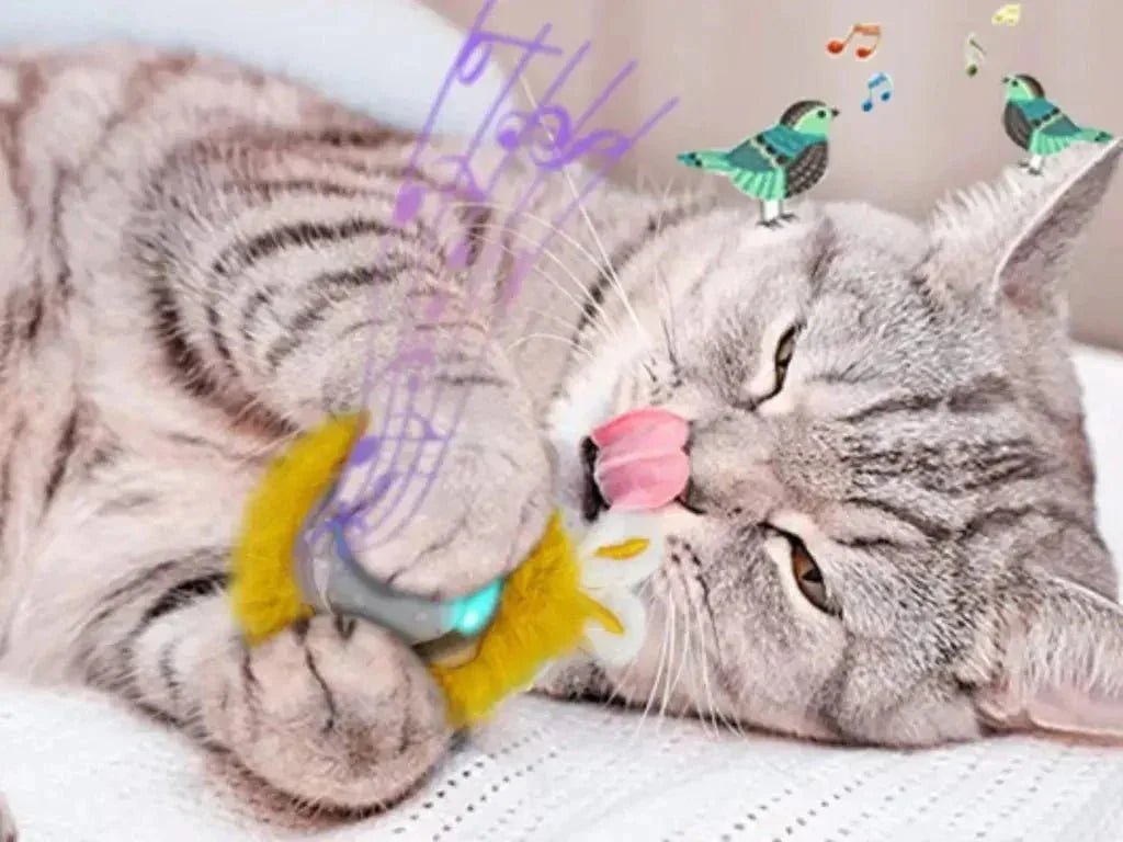 Catnip Toys