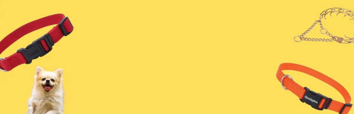 Dog Collars - Talis Us