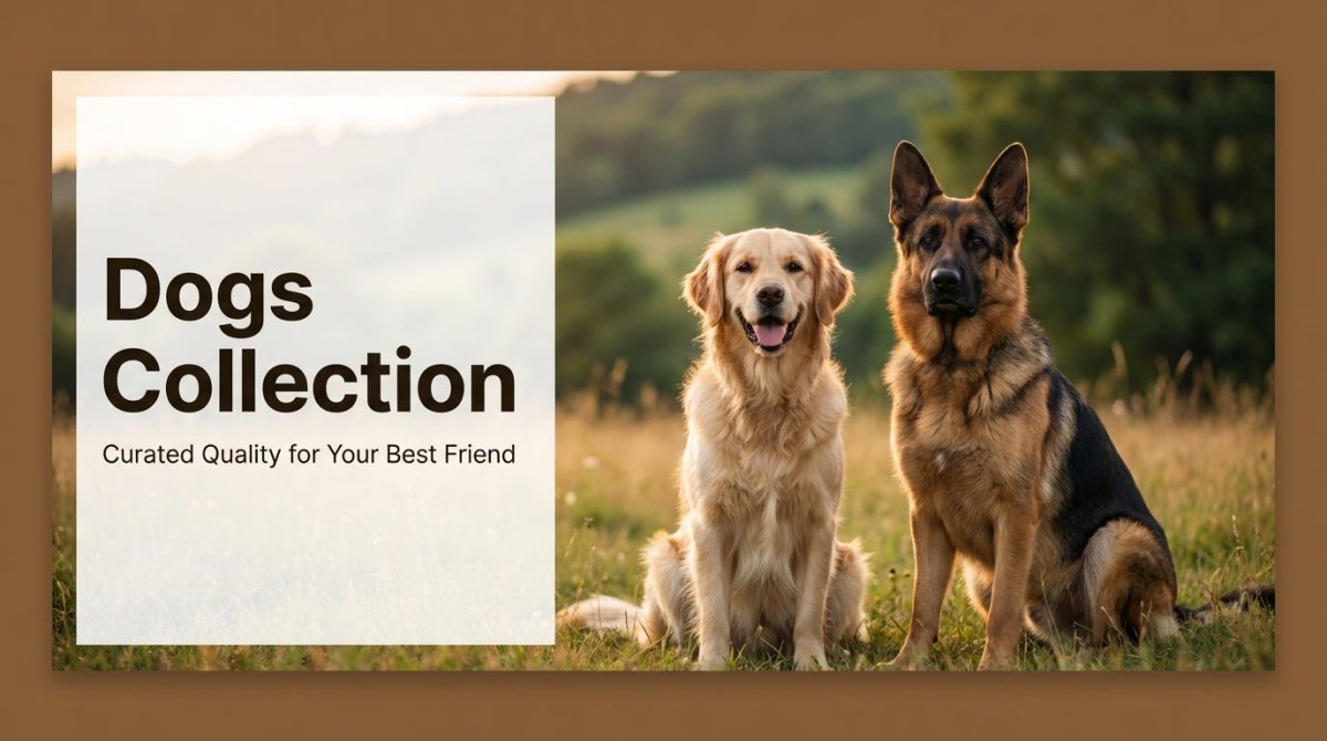 Dogs - Talis Us