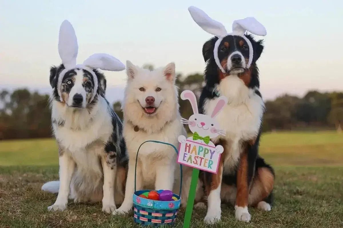 Easter - Talis Us