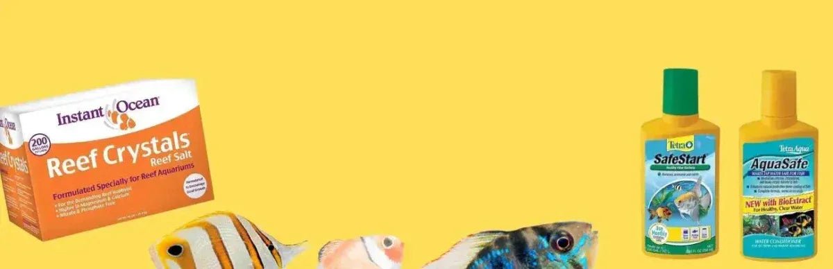 Fish Health - Talis Us