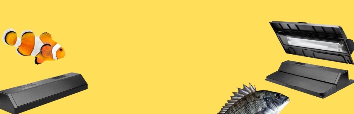 Fish Tank Lights - Talis Us