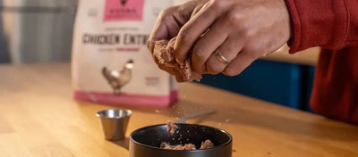 Food Toppers - Talis Us