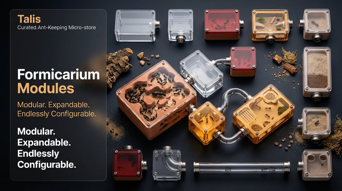 Formicarium Modules