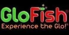 GloFish Betta