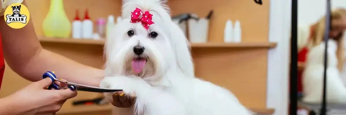 Grooming