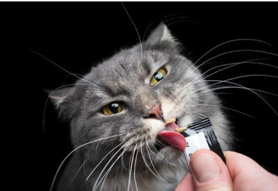 Lickable Treats - Talis Us