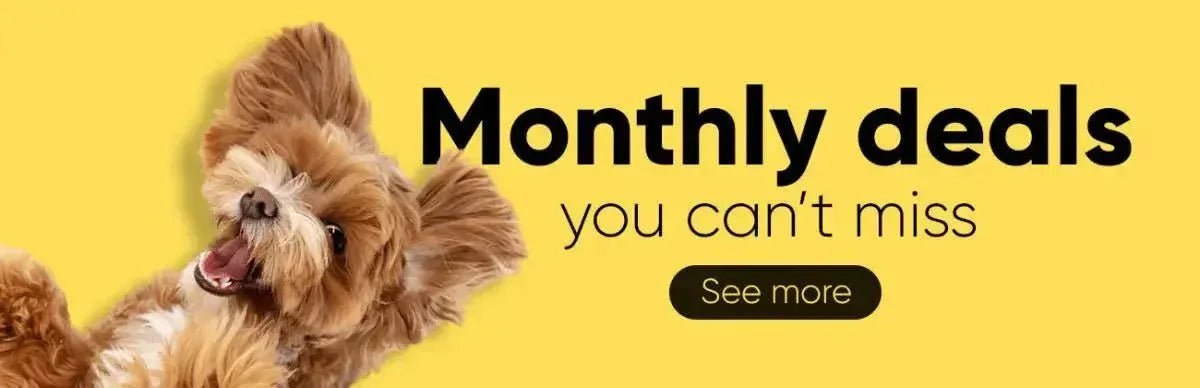Monthly Deals You Can’t Miss