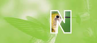 NEKTON USA - Talis Us