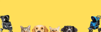Pet Strollers - Talis Us