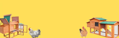 Poultry & Chicken - Talis Us