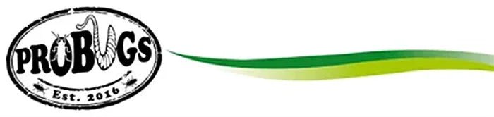 Probugs eco fresh insects - Talis Us
