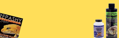 Reptile care & health - Talis Us