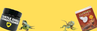 Reptile Heat Lamps - Talis Us