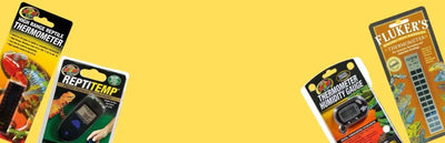 Reptile Thermostat & Thermometer - Talis Us