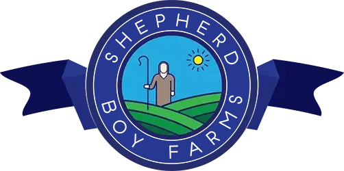 Shepherd Boy Farms