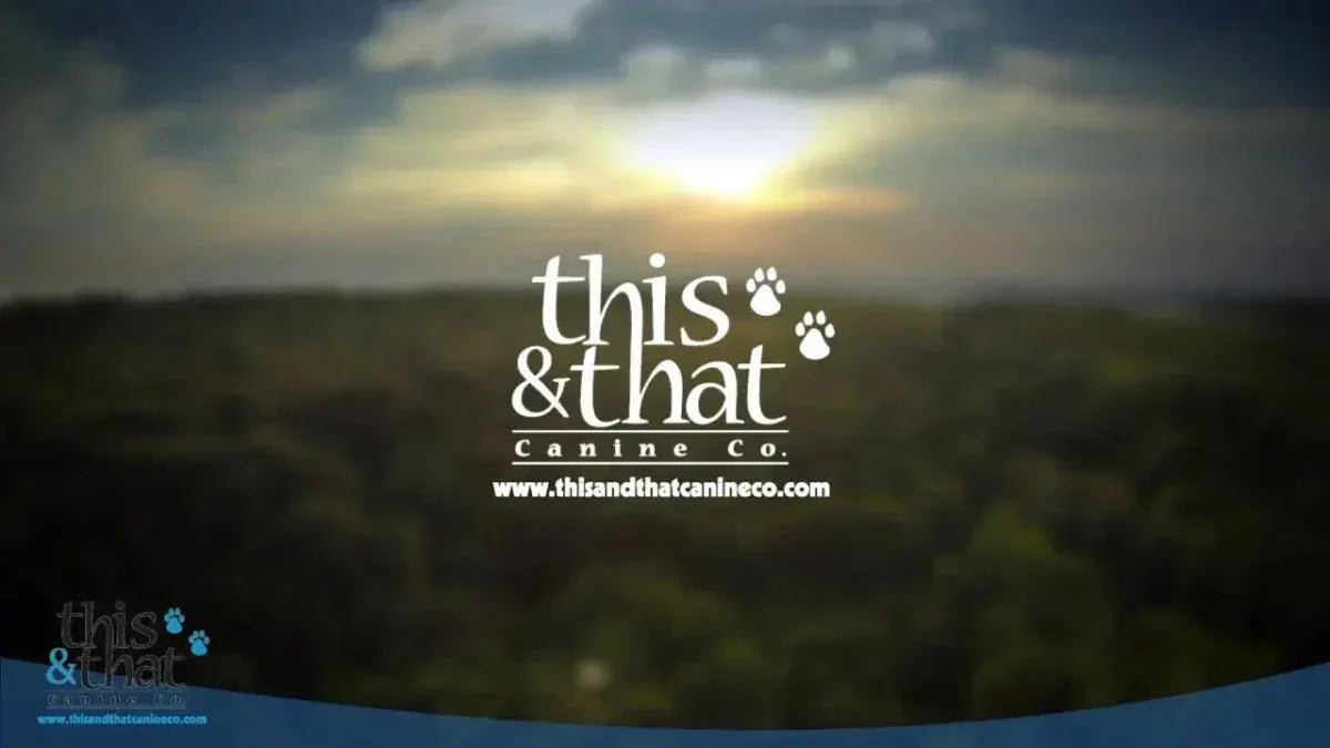 This & That Canine Company