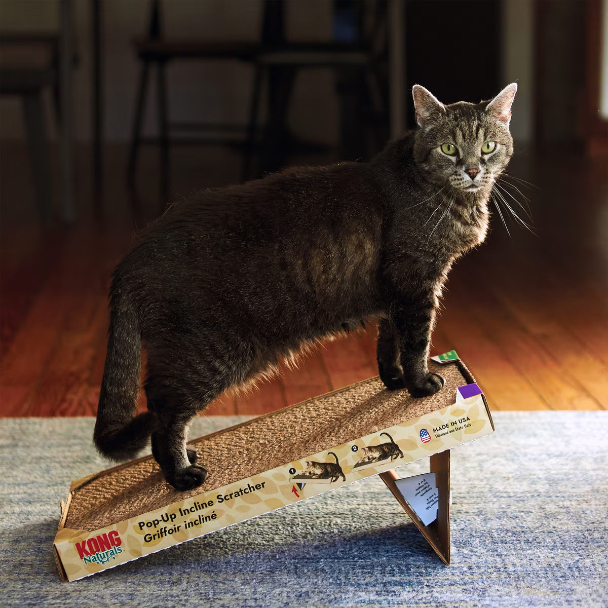 A tabby cat standing on a Kong Naturals Pop-Up Incline Cat Scratcher on a blue rug.