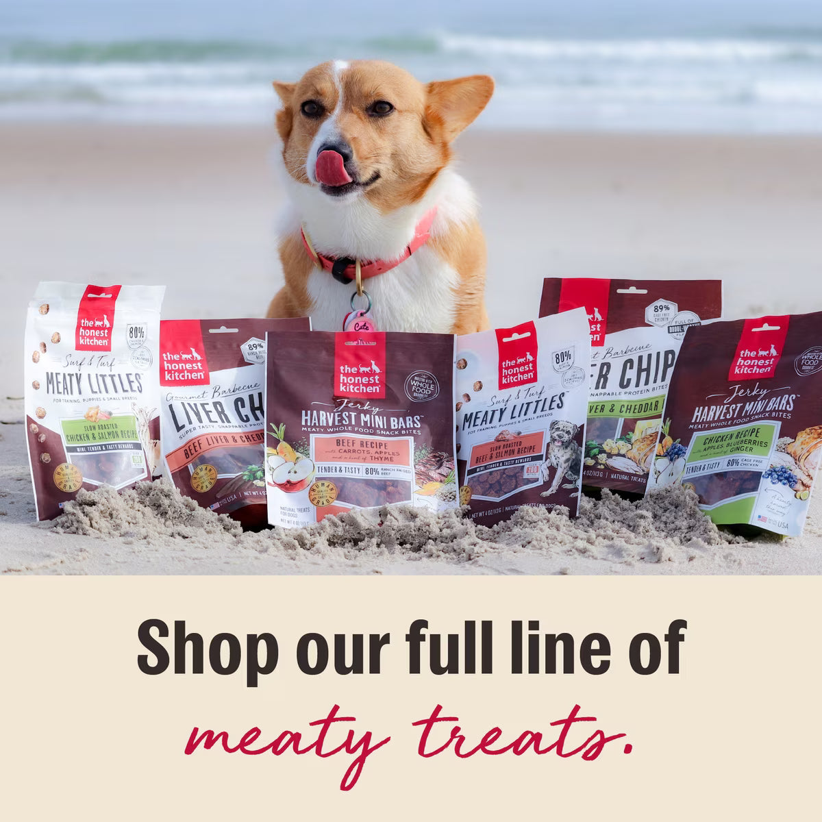 A Corgi dog on a beach behind several bags of The Honest Kitchen meaty dog treats in the sand.