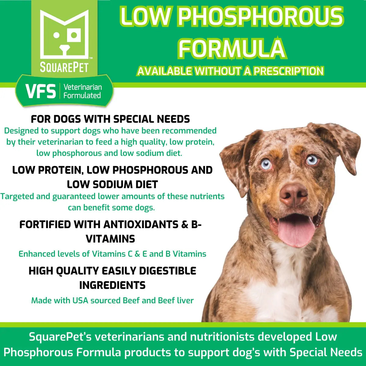 SquarePet VFS Canine Low Phosphorus Formula Wet Dog Food 12/13OZ