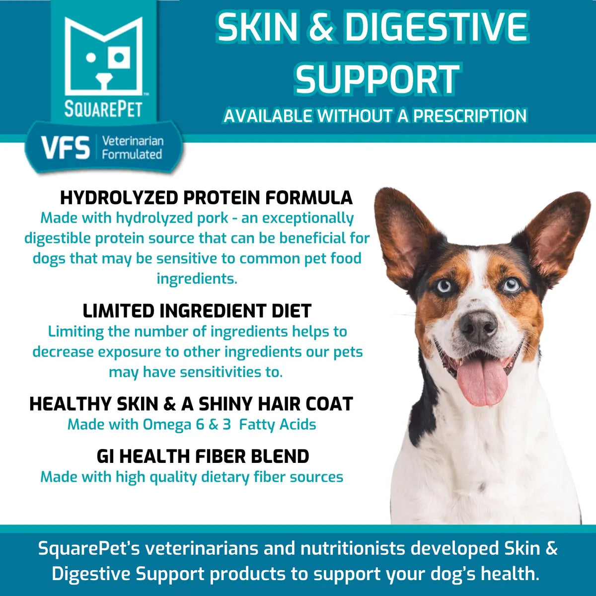 Display of various SquarePet VFS dog food products, including prescription and non-prescription options for pet health support