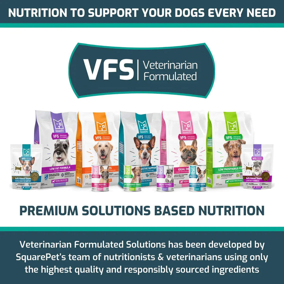 SquarePet VFS Canine Low Fat Formula Dog Treats 6OZ