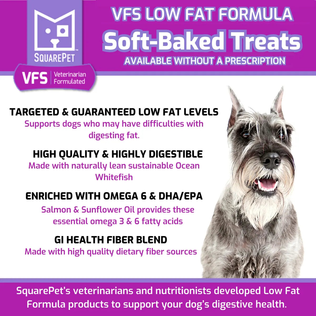 SquarePet VFS Canine Low Fat Formula Dog Treats 6OZ