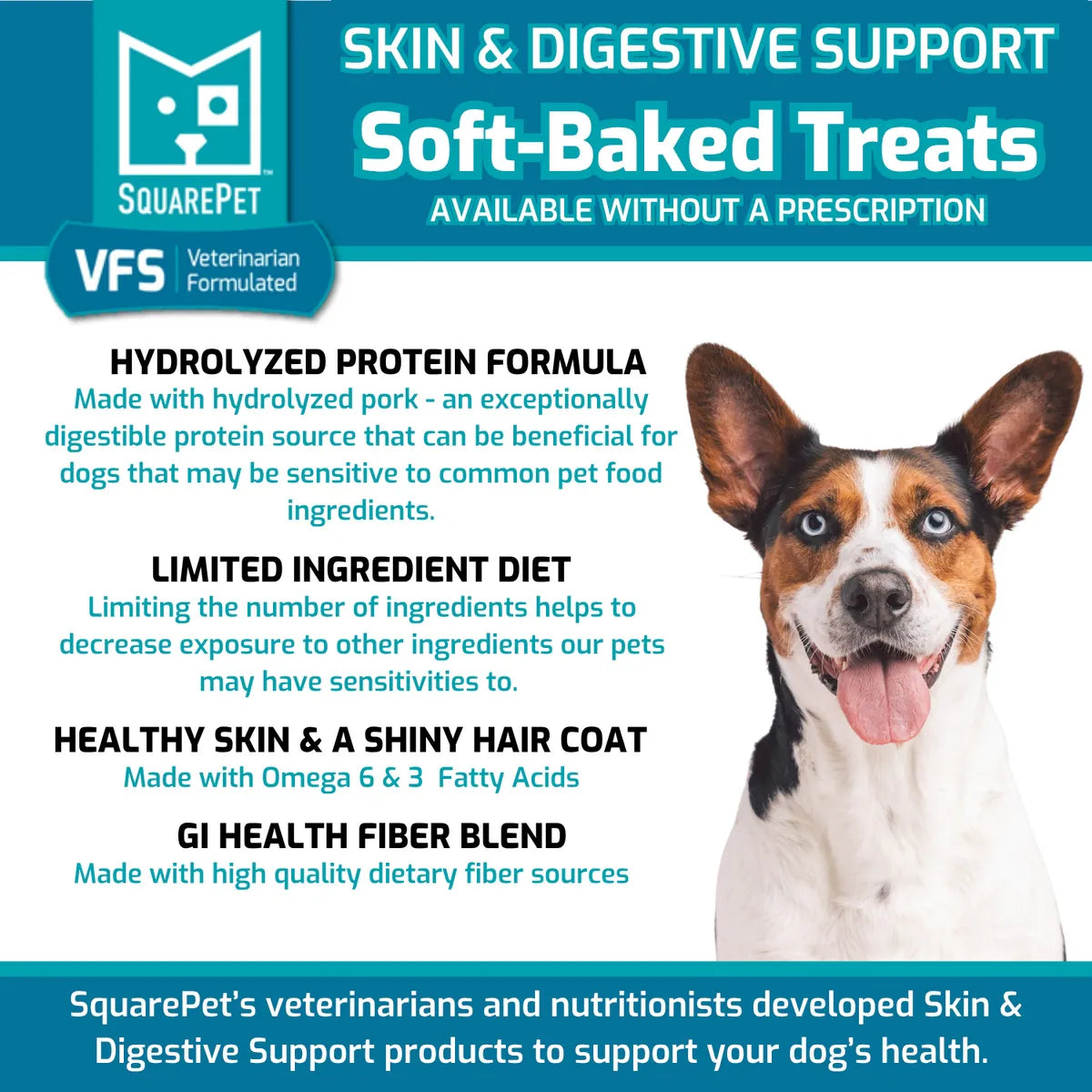 Front of SquarePet dog treat package highlighting skin and digestive support, vet-formulated, with a happy dog and treat image